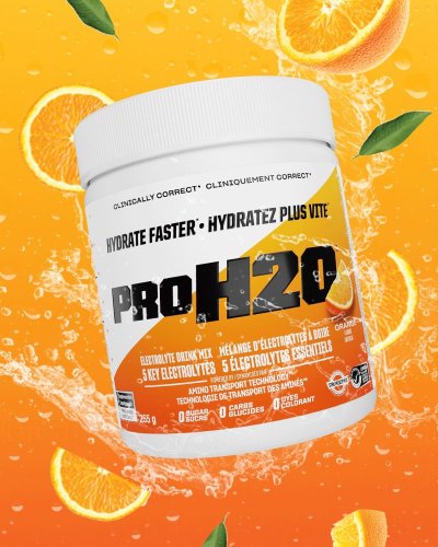 PVL PROH2O 255 g