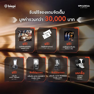 เครื่องชงกาแฟ Biepi Up Town Pro 2 Gr.