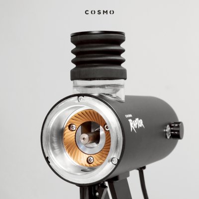 COSMO RAPTOR