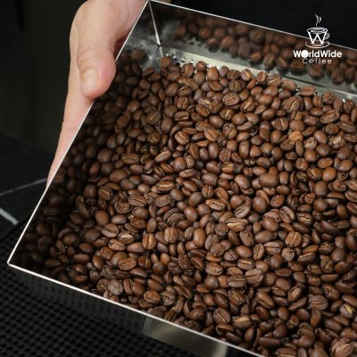 เครื่องคั่วเมล็ดกาแฟระบบไฟฟ้า Cosmo Micro Roaster