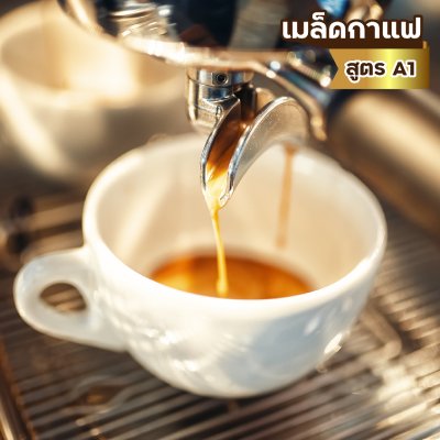 เมล็ดกาแฟ อราบิก้า100% คั่วกลาง (A1)