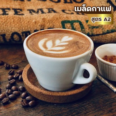 เมล็ดกาแฟ อราบิก้า100% คั่วกลาง-เข้ม (A2)