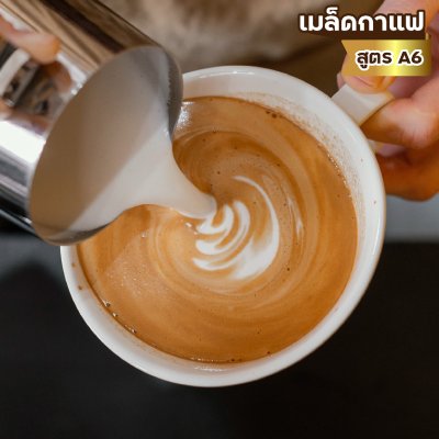 เมล็ดกาแฟ โรบัสต้า100% คั่วกลาง-เข้ม (A6) เมล็ดกาแฟ โรบัสต้า100% คั่วกลาง-เข้ม (A6)