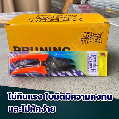 กรรไกรตัดกิ่ง Tiger #700 ปากโค้ง #702 ปากตรง คม ทนทาน