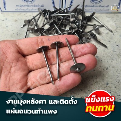 (ยกลัง) ตะปูตอกสังกะสี นายช่าง