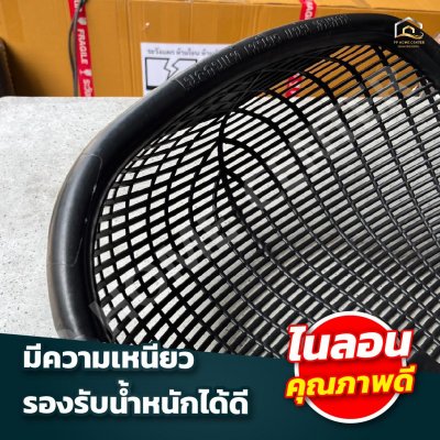 บุ้งกี๋หวาย สีดำ ช้างยืน