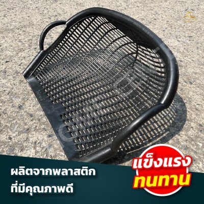 บุ้งกี๋หวาย สีดำ ช้างยืน