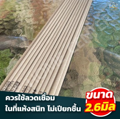 ลวดเชื่อมเหล็กเหนียว เจมินี่ D1 2.6มิล