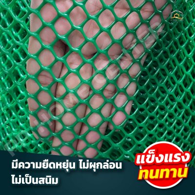 (กว้าง 1.5 เมตร) ตาข่ายพลาสติก 6เหลี่ยม ตรา แปดเซียน