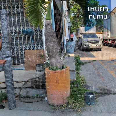 (ยกม้วน 30 เมตร) ตาข่ายกันนก PP