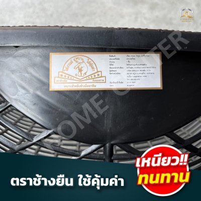 บุ้งกี๋หวาย สีดำ ช้างยืน