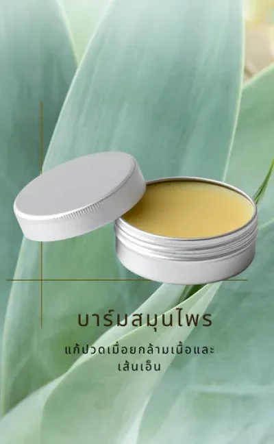 บาร์มนวดสมุนไพร ว่าน 9 ชนิด