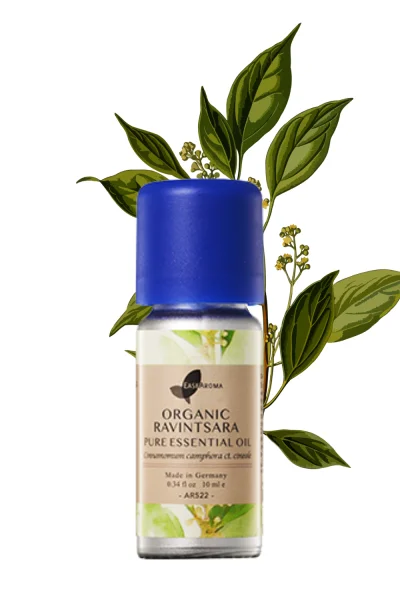 Organic Ravintsara Pure Essential Oil