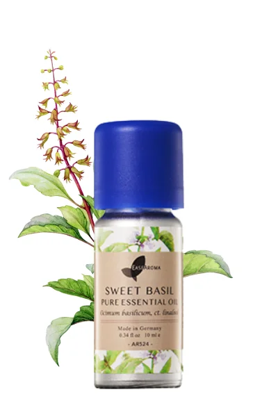 Sweet Basil Pure Essential Oil