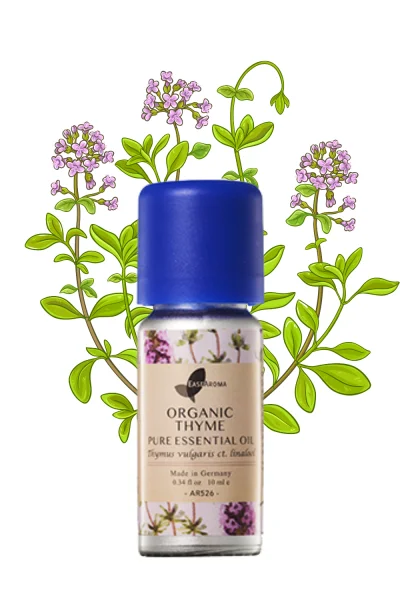 Organic Thyme Pure Essential Oil