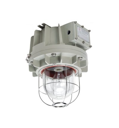 Incandescent and Compact Fluorescent Lighting Fixture,DLF Series