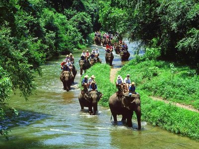 ขี่ช้าง ชมธรรมชาติ