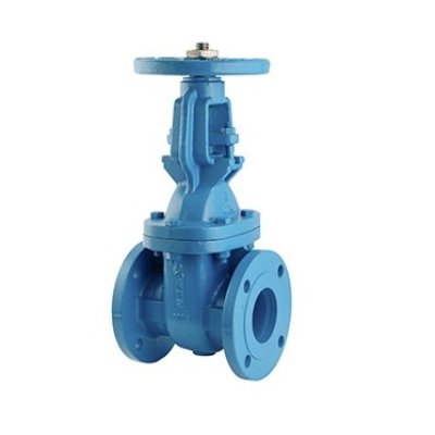 เกทวาล์วเหล็กเหนียว รุ่น R-CGV-A (Gate Valve) | Tozen