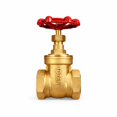 เกตวาล์ว (ประตูน้ำ) ทองเหลือง รุ่น D-BGV | Tozen