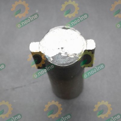 ปีกกา จำปาปีก (ตัวผู้) จำปาท่อนาค ท่อสูบน้ำ ท่อพญานาค ปั๊มหาง