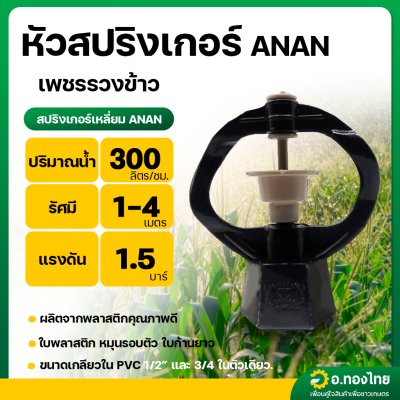 หัวสปริงเกอร์เหลี่ยม ANAN เกลียวใน 4 หุน และ 6 หุน ในตัวเดียว (เพชรรวงข้าว)