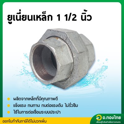 ยูเนี่ยนเหล็ก ข้อต่อยูเนี่ยน (เกลียวใน) พร้อมลูกยาง ขนาด 1 1/2 - 3 นิ้ว