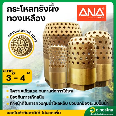 ฟุตวาล์วทองเหลือง กะโหลกรังผึ้ง หัวกะโหลกดูดน้ำ ขนาด 3 , 4 นิ้ว ยี่ห้อ ANA