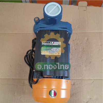 ปั๊มหอยโข่ง ปั๊มน้ำไฟฟ้า 2 นิ้ว 2 แรง ใบพัดทองเหลือง ยี่ห้อ TORQUE รุ่น TCP200