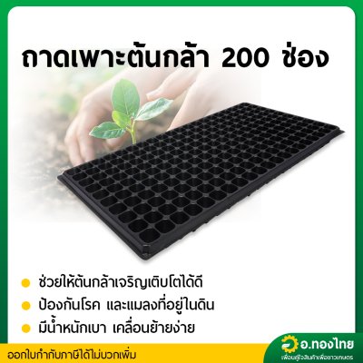 ถาดเพาะกล้า ถาดเพาะชำ ขนาด 200 หลุมเหลี่ยม