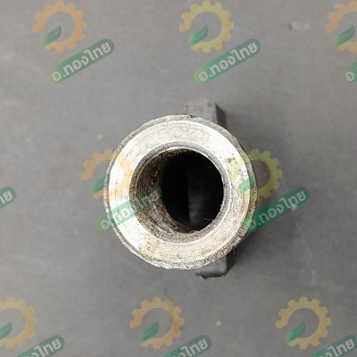 ปีกกา จำปาปีก (ตัวผู้) จำปาท่อนาค ท่อสูบน้ำ ท่อพญานาค ปั๊มหาง