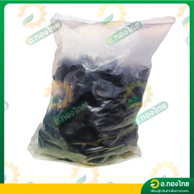 สปริงเกอร์ หัวฉีด 111 หัวฉีดด้านเดียว เกลียว 1/2,3/4 นิ้ว น้ำออก 180 องศา (100 ตัว)