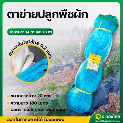 ตาข่ายปลูกผัก ค้างผัก ตาข่ายปลูกแตง ไม้เลื้อย จำนวนตา 14  , 16 ตา