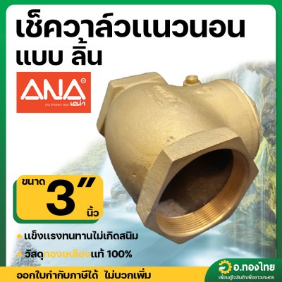 เช็ควาล์วเเนวนอน เช็ควาล์วแบบลิ้น 3