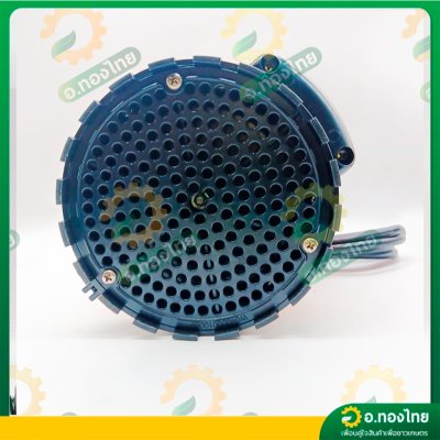 ปั๊มแช่ ไดโว่ ปั๊มดูดน้ำ ปั๊มจุ่ม 1 นิ้ว รุ่น : PW100E วอลรัส (Walrus Pump)