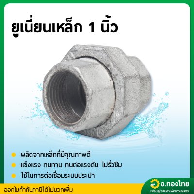 ยูเนี่ยนเหล็ก ข้อต่อยูเนี่ยน เหล็กเหนียว (เกลียวใน) ขนาด 1/2 - 1 นิ้ว