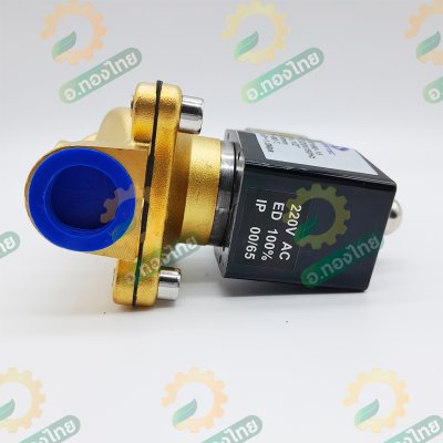 โซลินอยด์วาล์วทองเหลือง (Solenoid Valve) ขนาด 1/2 นิ้ว (4 หุน) AC220V (Sivertec)