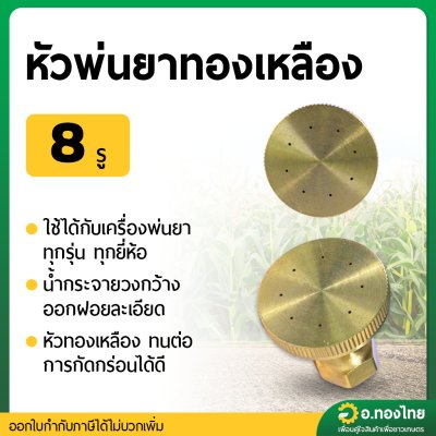 หัวพ่นยา หัวพ่นละออง หัวฉีด 8 รู (ทองเหลือง)