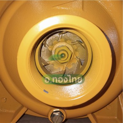 ปั๊มหอยโข่ง ปั๊มน้ำไฟฟ้า 2 นิ้ว 2 แรง (550 ลิตร/นาที) รุ่น NK200HM ยี่ห้อ NAKASHI