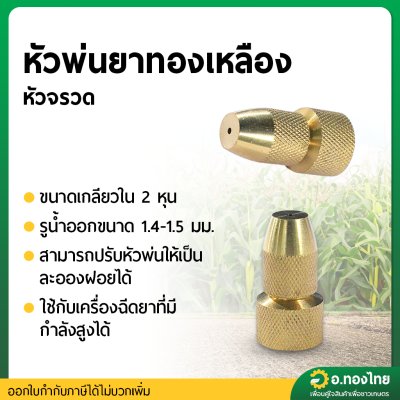 หัวพ่นยาทองเหลือง หัวจรวด เกลียวใน ขนาด 2 หุน (1/4”)