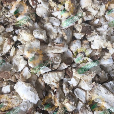 เครื่องสับมันเส้น  มันสำปะหลัง ผลิตได้ 1-1.5 ตัน/ชม. (พลังไทย)