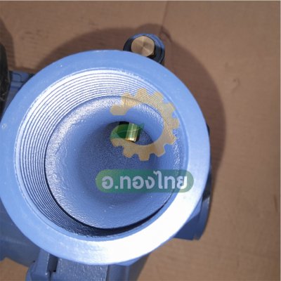 ปั๊มหอยโข่ง ปั๊มน้ำไฟฟ้า 2 นิ้ว 2 แรง ใบพัดทองเหลือง ยี่ห้อ TORQUE รุ่น TCP200