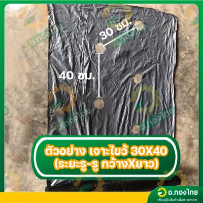 พลาสติกคลุมดิน ผ้าคลุมดิน (เจาะรู) ขนาด กว้าง 80 CM. 100 CM. 120 CM. x 400 หลา หนา 25 ไมครอน สีดำ