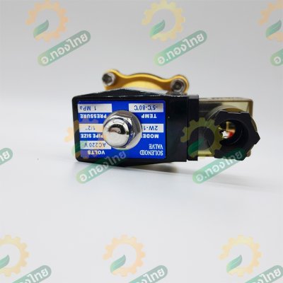 โซลินอยด์วาล์วทองเหลือง (Solenoid Valve) ขนาด 1/2 นิ้ว (4 หุน) AC220V (Sivertec)