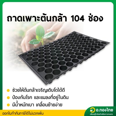 ถาดเพาะกล้า ถาดเพาะชำ ขนาด 104 หลุมกลม