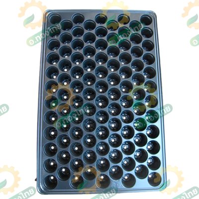 ถาดเพาะกล้า ถาดเพาะชำ ขนาด 104 หลุมกลม