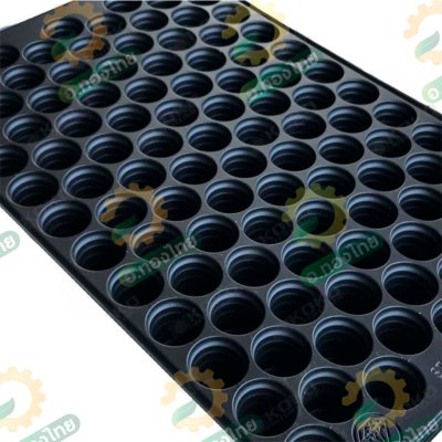 ถาดเพาะกล้า ถาดเพาะชำ ขนาด 104 หลุมกลม