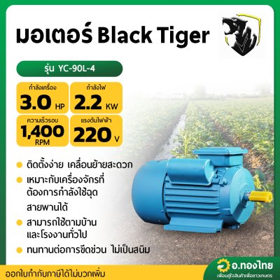 มอเตอร์ 3.0 HP 1400r/min แกนเพลา 24 มิล รุ่น : YC-90L-4 (Black Tiger)