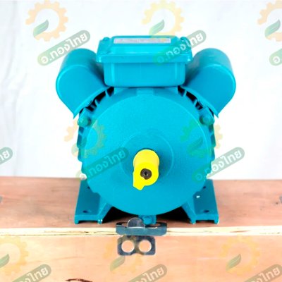 มอเตอร์ มอเตอร์ไฟฟ้า ไดไฟฟ้า 3.0 HP 1400r/min แกนเพลา 24 มิล รุ่น YC-90L-4 ยี่ห้อ Black Tiger