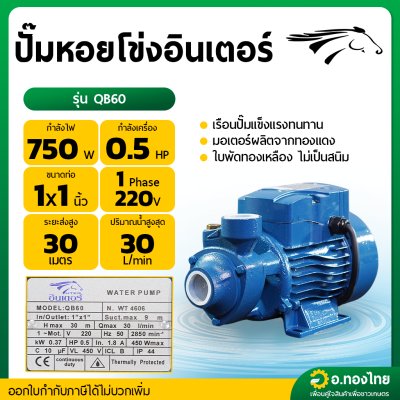 ปั๊มหอยโข่ง ปั๊มน้ำไฟฟ้า ปั๊มหน้าหมู 1 นิ้ว 0.5 แรง รุ่น QB60 ยี่ห้อ INTER