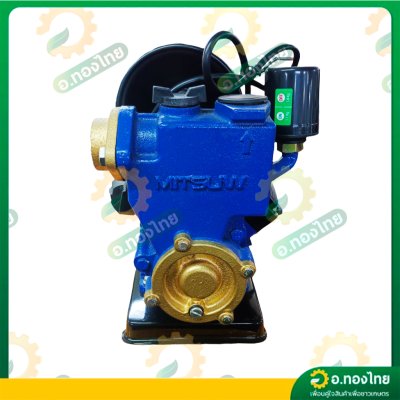 ปั๊มออโต้ ปั๊มน้ำอัตโนมัติ 370 W 1 นิ้ว รุ่น : 483-MSW-250A ยี่ห้อ มิตซูวิน (MITSUWIN)